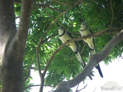 El Charco Verde, a tour attraction in Managua, Nicaragua