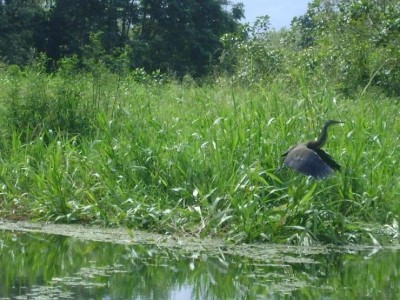 Wildlife Refuge Los Guatuzos, a tour attraction in Managua, Nicaragua