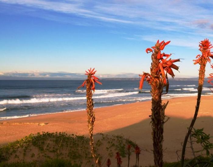 Pienaar Strand, a tour attraction in The Garden Route South Africa