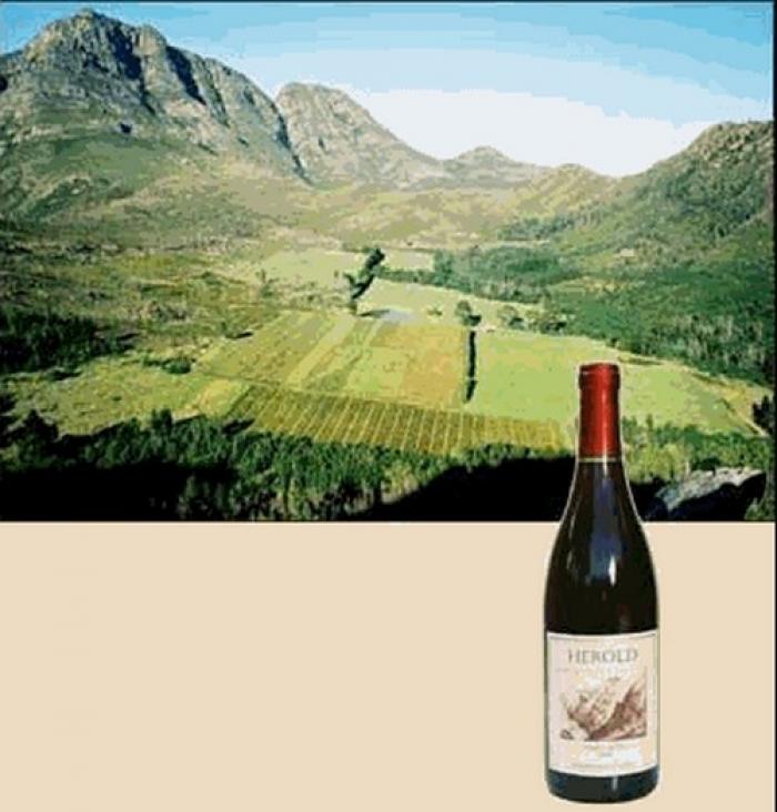 Herold Wine, a tour attraction in The Garden Route South Africa