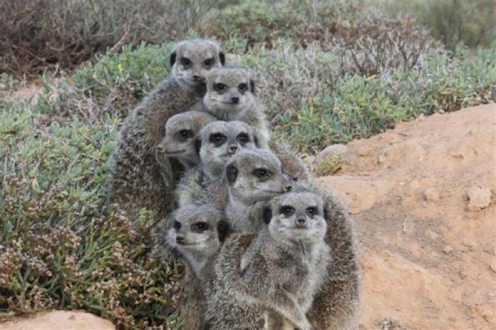 De Zeekoe Guest  Farm, a tour attraction in The Garden Route South Africa