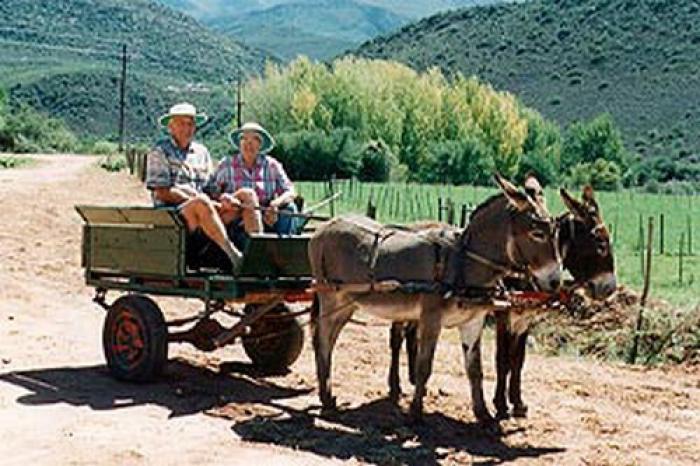 Wilgewandel Holiday Farm, a tour attraction in The Garden Route South Africa