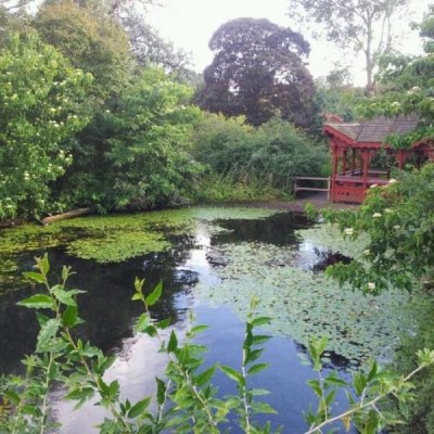 Royal Botanic Garden Edinburgh - Off Inverleith House Lawn, a tour attraction in Edinburgh, United Kingdom