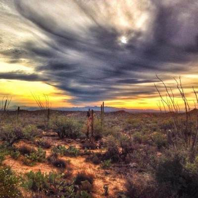 Saguaro National Park, a tour attraction in Tucson, AZ, United States