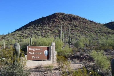 Saguaro National Park West, a tour attraction in Tucson, AZ, United States