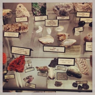 Mr Wood's Fossils, a tour attraction in Edinburgh, United Kingdom