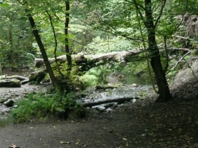 Hermitage Of Braid, a tour attraction in Edinburgh, United Kingdom