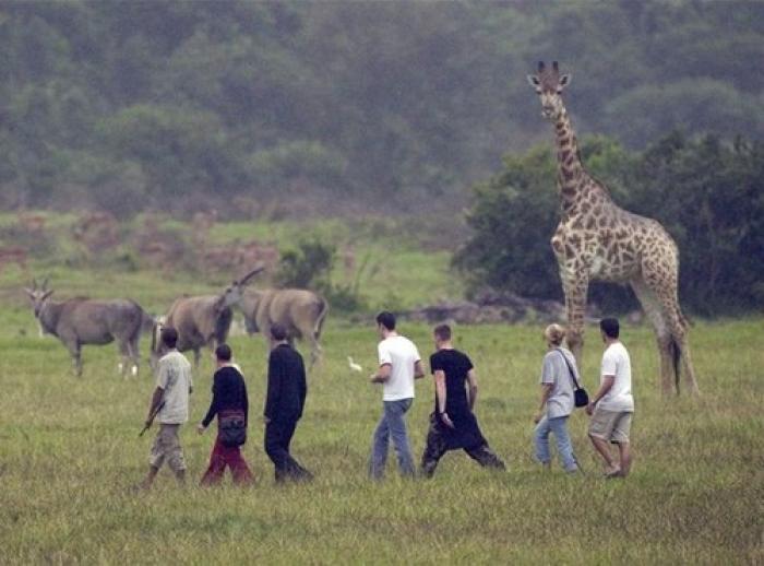 Buffalo Hills Game Lodge , a tour attraction in The Garden Route South Africa