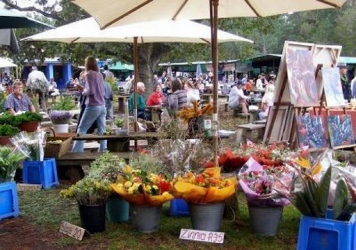 Harkerville Saturday Market, a tour attraction in The Garden Route South Africa