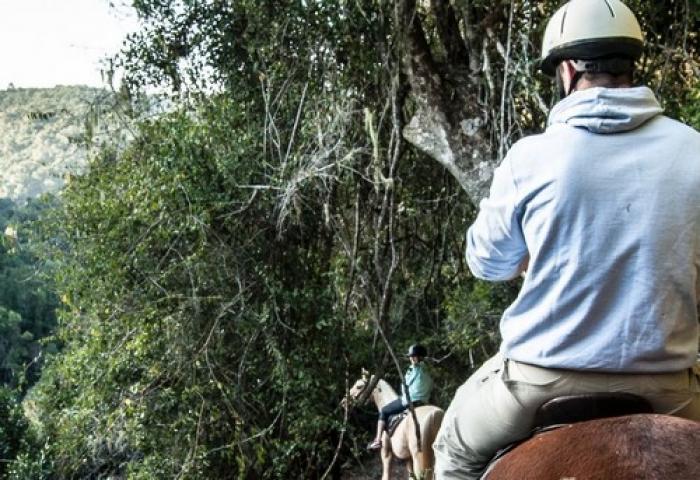 The Hog Hollow Horse Trails, a tour attraction in The Garden Route South Africa