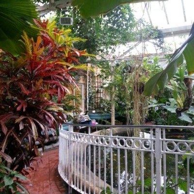 Birmingham Botanical Gardens & Glasshouses, a tour attraction in Birmingham, United Kingdom 