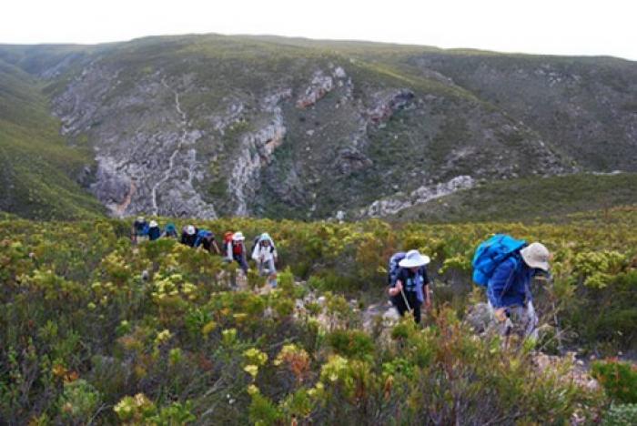 The Otter hiking trail, a tour attraction in The Garden Route South Africa