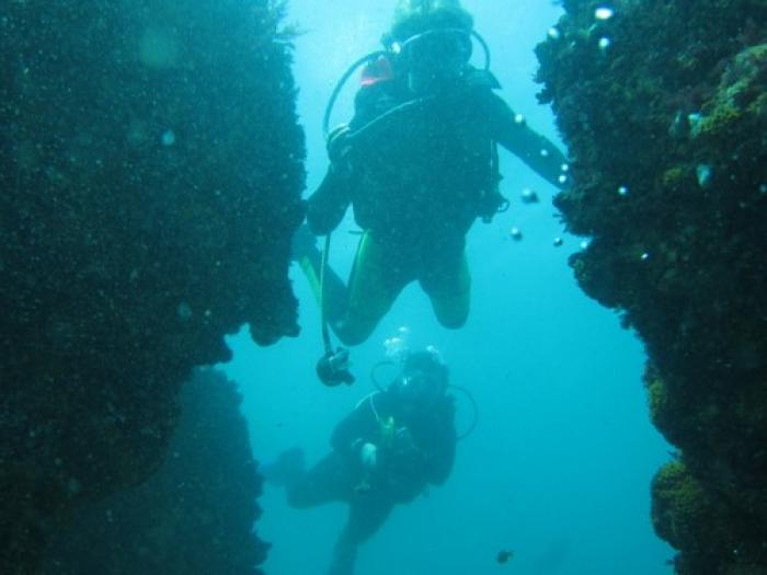 Scuba Diving in Storms River, a tour attraction in The Garden Route South Africa