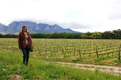 Cape Town Wine Tours, a tour attraction in Cape Town, South Africa