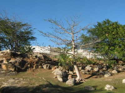 Parque Japón Nicaragua, a tour attraction in Managua, Nicaragua