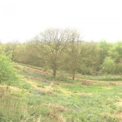 Clent Hills National Trust, a tour attraction in Birmingham, United Kingdom