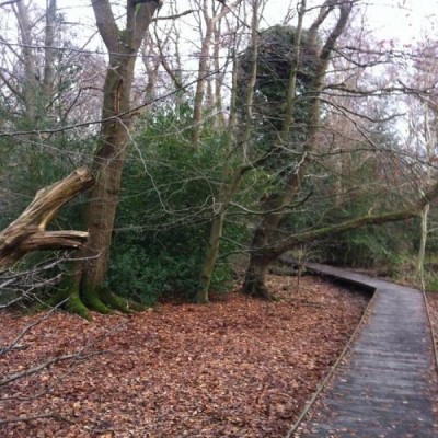 Moseley Bog, a tour attraction in Birmingham, United Kingdom