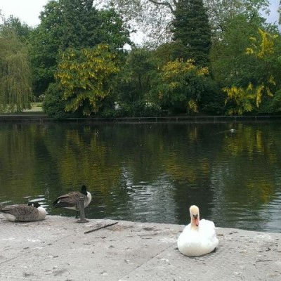 Cannon Hill Park, a tour attraction in Birmingham, United Kingdom