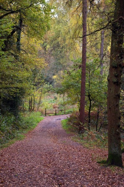 Lickey Hills Country Park, a tour attraction in Birmingham, United Kingdom