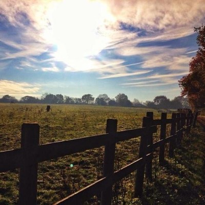 Woodgate Valley Country Park, a tour attraction in Birmingham, United Kingdom