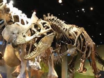 Perot Museum of Nature and Science, a tour attraction in Dallas, TX, United States  