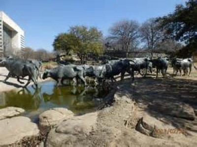 Pioneer Plaza, a tour attraction in Dallas, TX, United States     