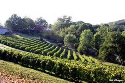 Missouri Wine Country, a tour attraction in Saint Louis, MO, United States
