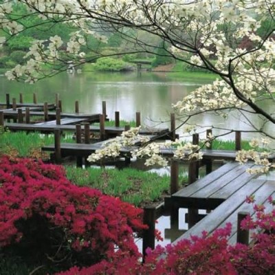 St. Louis Botanical Garden, a tour attraction in Saint Louis, MO, United States