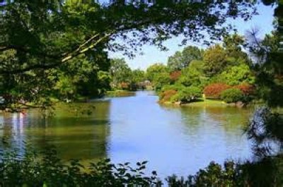 St. Louis Japanese Garden, a tour attraction in Saint Louis, MO, United States