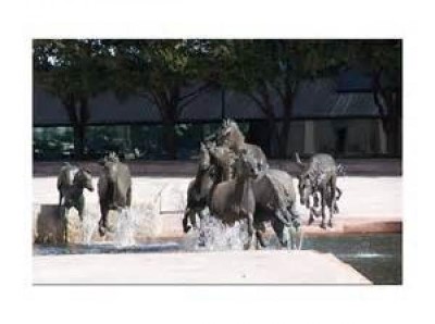 Mustangs of Las Colinas, a tour attraction in Dallas, TX, United States     