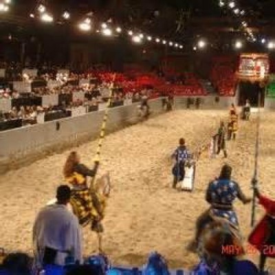 Medieval Times Dinner & Tournament, a tour attraction in Dallas, TX, United States     