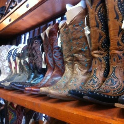 Wild Bill