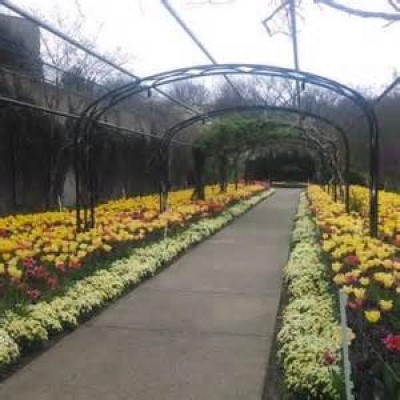 Cheekwood Botanical Garden, a tour attraction in Nashville, TN, United States