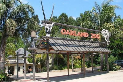 Oakland Zoo, a tour attraction in Oakland, CA, United States 