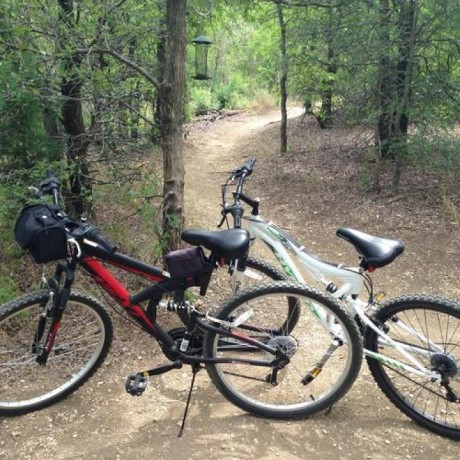 Arbor Hills Nature Preserve, a tour attraction in Plano, TX, United States      