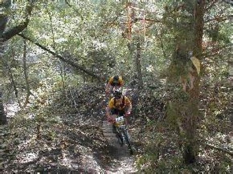 Erwin Park, a tour attraction in Plano, TX, United States      