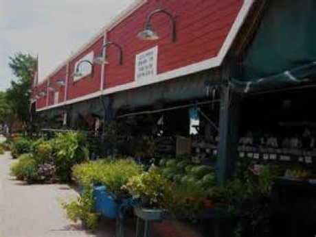 Fairview Farms - Plano, a tour attraction in Plano, TX, United States      