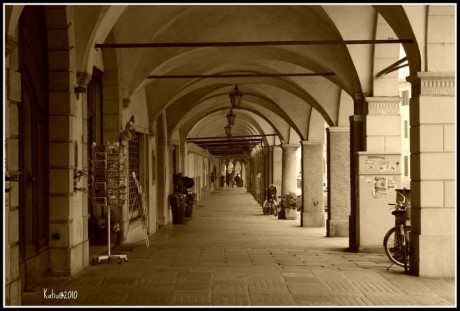 Video Look, a tour attraction in Padua, Italy