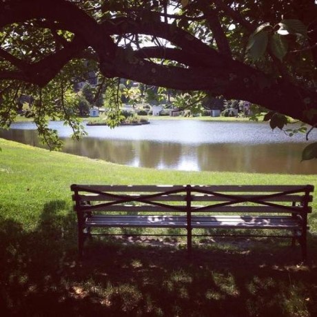 Prospect Park, a tour attraction in Brooklyn, NY, United States   