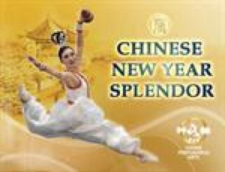 NTDTV\\\'s Chinese New Year Splendor, a tour attraction in Brooklyn, NY, United States   